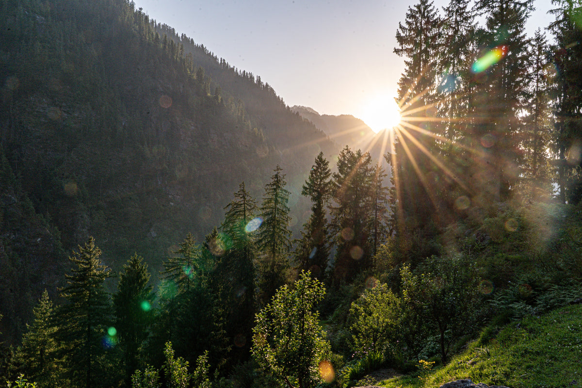 Forest Sunburst: The sun breaking through the trees above a valley. Canvas print by Ori Ganz.