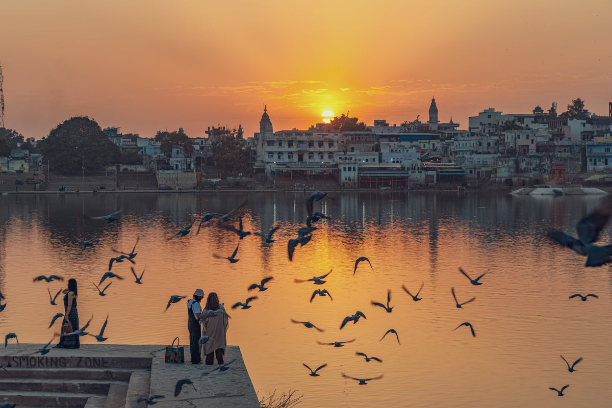 Harbour at Sunset: Sunset over a harbour, birds low over the water. Canvas print by Ori Ganz.
