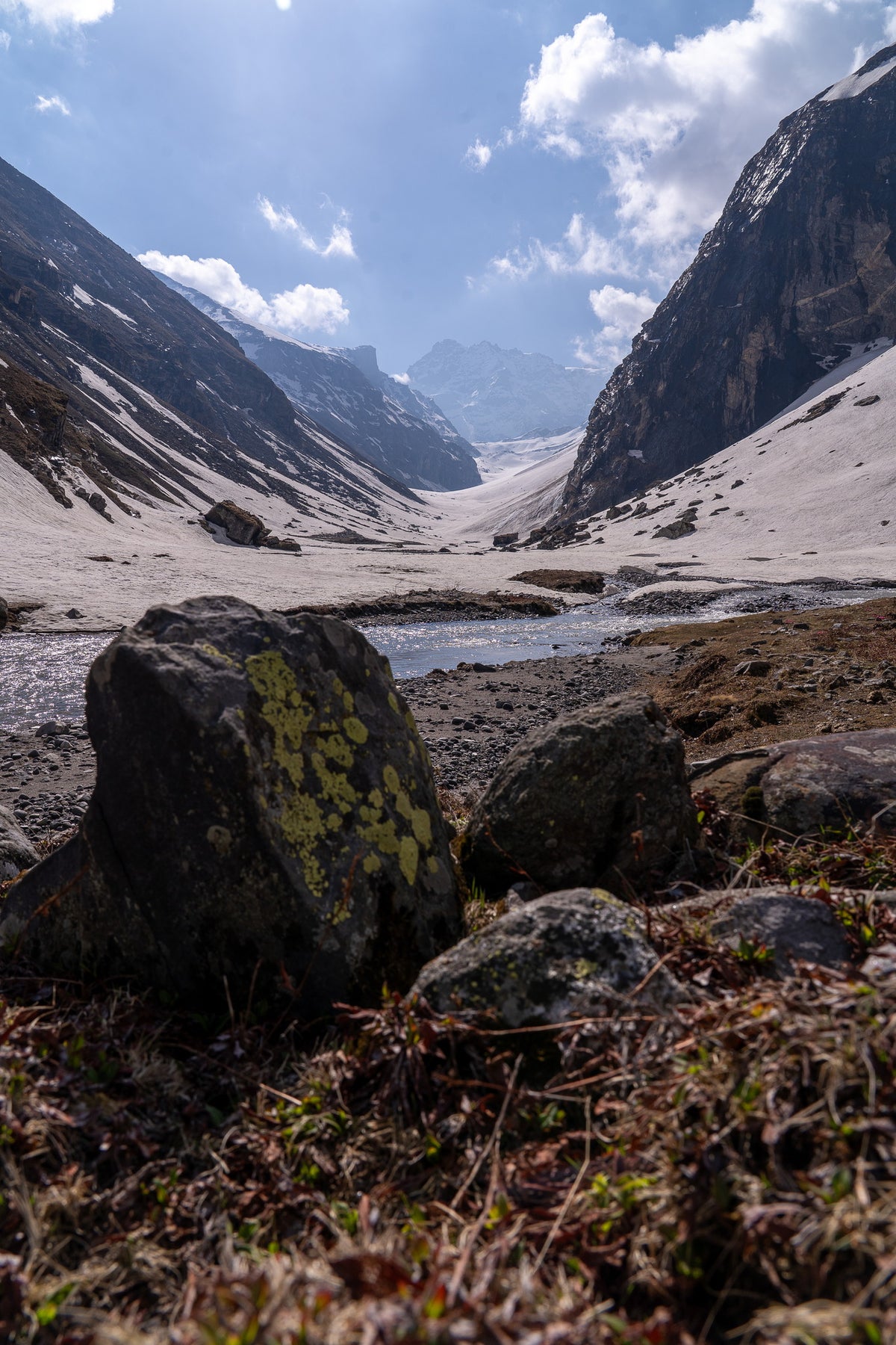 Lichen Stream Alpine — Ori Ganz fine art print