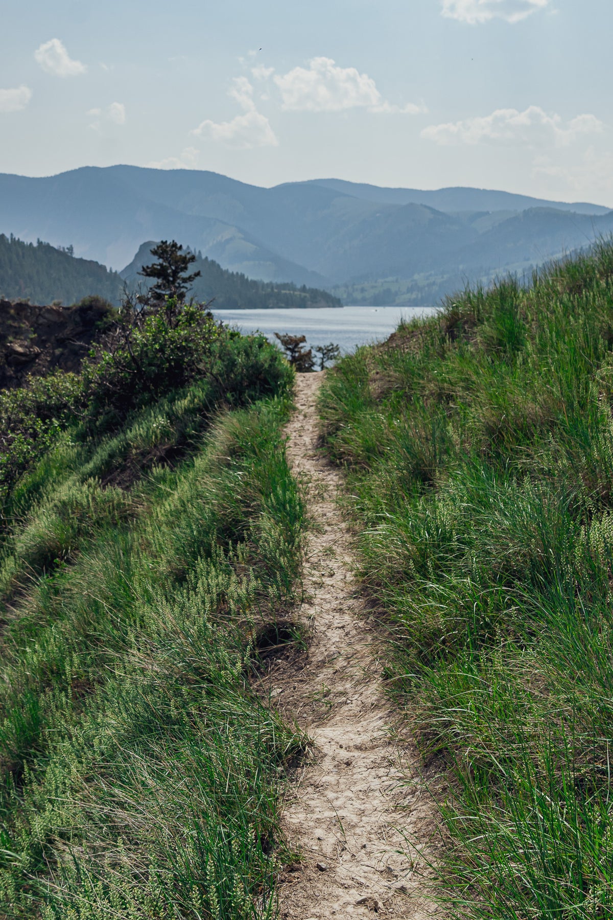 The Trail — Ori Ganz fine art print