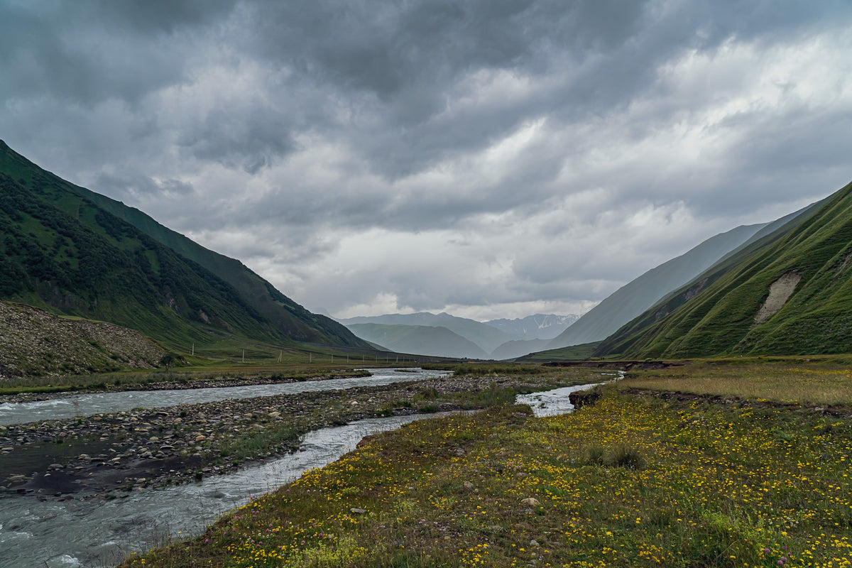 Wildflower River Valley — Ori Ganz fine art print