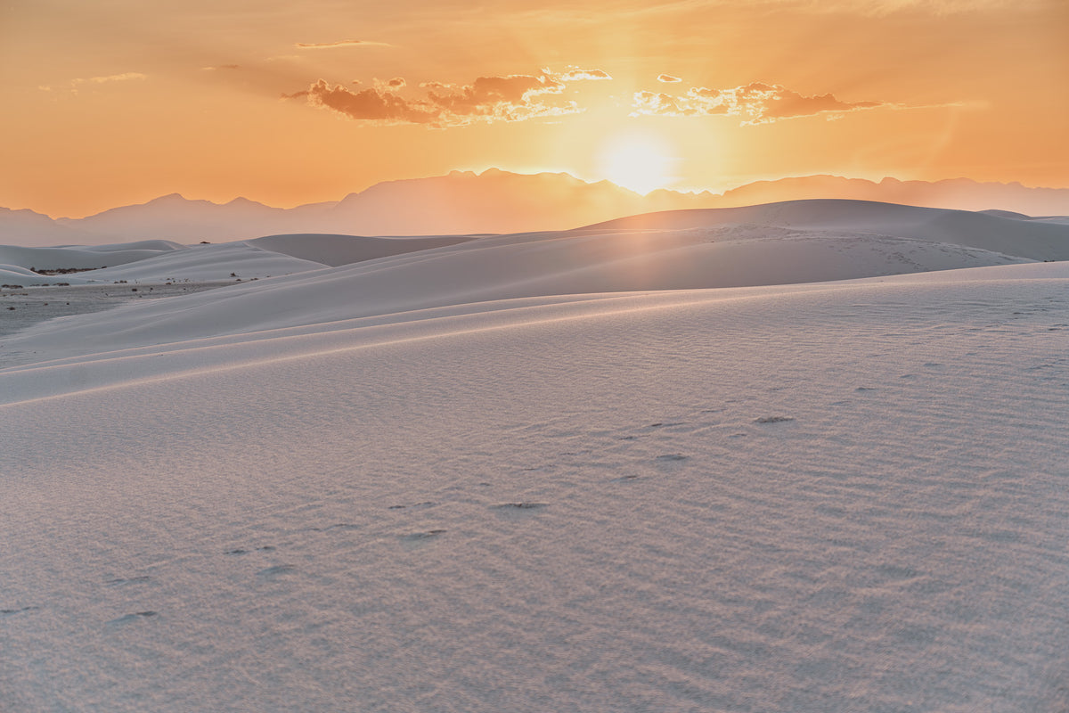 Dune Field — Ori Ganz fine art print