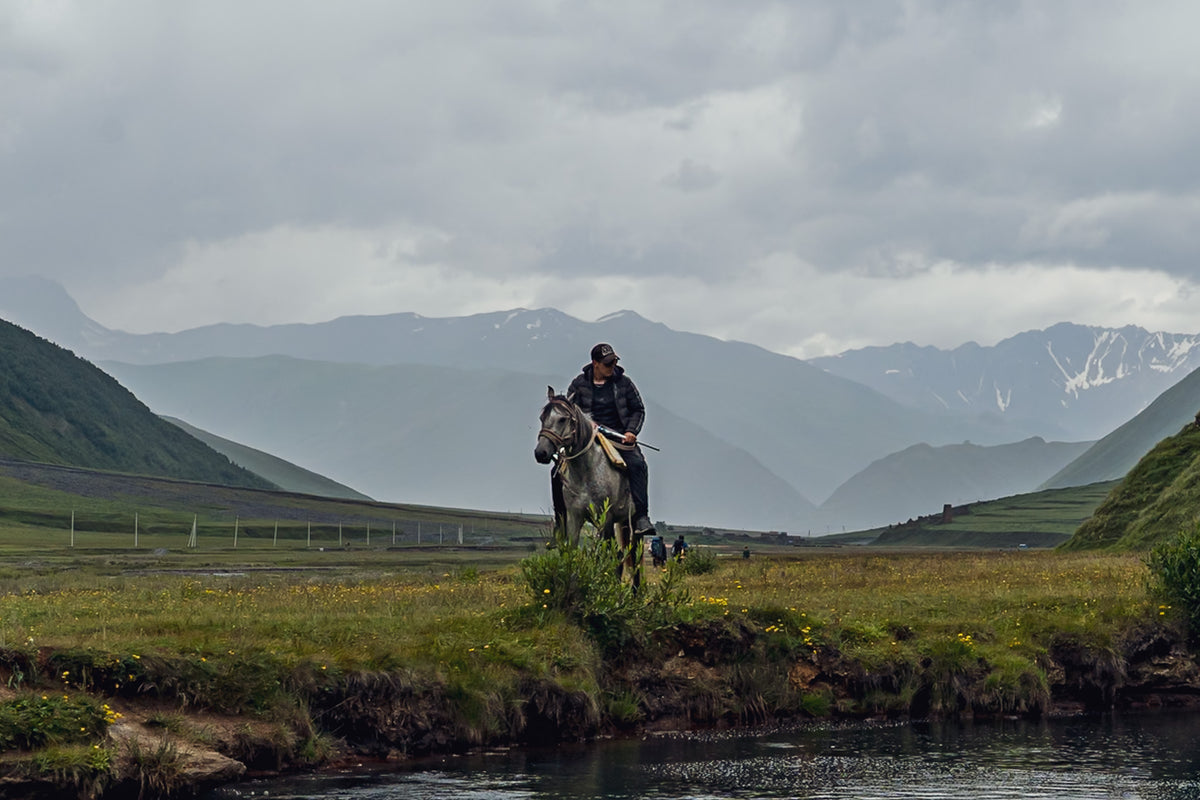 Horse Valley: סוסים במרחב פתוח. הדפס קנבס של אורי גנץ.